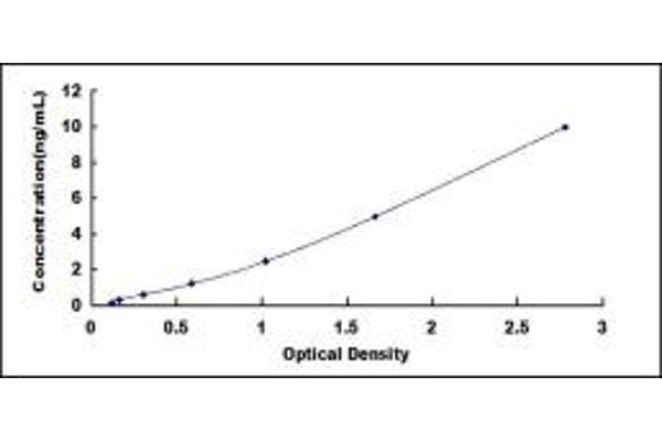 ERCC4 ELISA 试剂盒