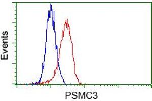 Image no. 4 for anti-Proteasome (Prosome, Macropain) 26S Subunit, ATPase, 3 (PSMC3) antibody (ABIN1501331) (PSMC3 抗体)
