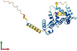 Protein Structure (PS) image for Kv Channel Interacting Protein 1 (KCNIP1) (AA 1-227) protein (His tag) (ABIN7548686)