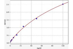 Angiopoietin-Like 6 (ANGPTL6) ELISA Kit