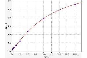 Typical standard curve (PSCA ELISA 试剂盒)