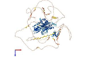 Protein Structure (PS) image for Cbl Proto-Oncogene B, E3 Ubiquitin Protein Ligase (CBLB) (AA 1-982) protein (His tag) (ABIN7552901)