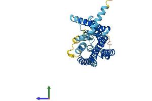 AlphaFold protein structure predicition of Human Recombinant OR2V1 Protein, UniprotID Q8NHB1 (OR2V1 Protein (AA 1-315) (His tag))