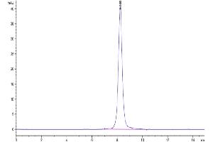 The purity of Human EVA-1 is greater than 95 % as determined by SEC-HPLC. (MPZL2 Protein (AA 27-154) (Fc Tag))