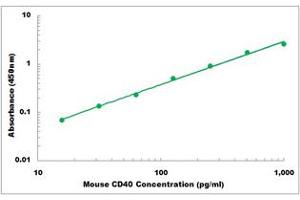 Representative Standard Curve (CD40 ELISA 试剂盒)
