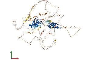 AlphaFold protein structure predicition of Mouse Recombinant Nfatc4 Protein, UniprotID Q8K120