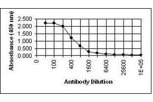 ELISA image for anti-Glycoprotein H (gH) antibody (ABIN265605) (Glycoprotein H (gH) 抗体)