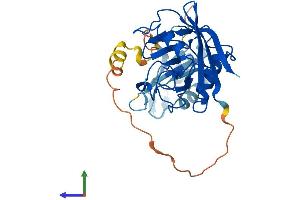 Protein Structure (PS) image for Peptidylprolyl Isomerase E (Cyclophilin E) (PPIE) (AA 1-301) protein (His tag) (ABIN7561829)