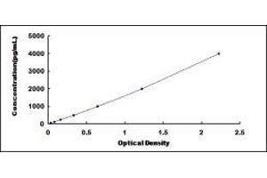 ELISA image for Vitamin K-dependent protein C (PROC) ELISA Kit (ABIN414739)