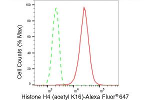 Flow cytometric analysis of Histone H4 (acetyl K16) expression in HepG2 cells using Histone H4 (acetyl K16) antibody (ABIN7798978), 1:2,000). (Recombinant Histone H4 抗体  (H4K16ac))