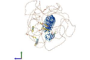 Protein Structure (PS) image for Erbb2 Interacting Protein (ERBB2IP) (AA 1-1402) protein (His tag) (ABIN7564231)