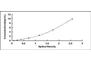 Typical standard curve (MVP ELISA 试剂盒)