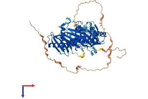 MON1B Protein (AA 1-547) (His tag)