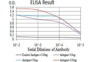 ELISA image for anti-V-Ral Simian Leukemia Viral Oncogene Homolog B (Ras Related, GTP Binding Protein) (Ralb) (AA 89-206) antibody (ABIN5542685)