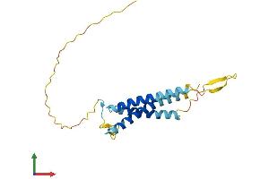 Protein Structure (PS) image for Solute Carrier Family 31 (Copper Transporters), Member 1 (SLC31A1) (AA 1-190) protein (His tag) (ABIN7546652)
