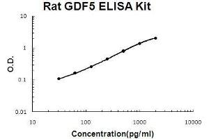 Rat GDF5 PicoKine ELISA Kit standard curve (GDF5 ELISA 试剂盒)
