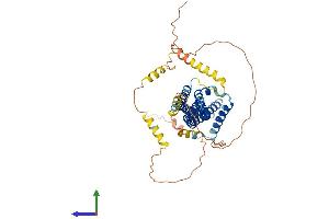 Protein Structure (PS) image for Islet Cell Autoantigen 1, 69kDa (ICA1) (AA 1-478) protein (His tag) (ABIN7556802)