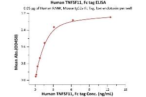 ELISA image for Tumor Necrosis Factor (Ligand) Superfamily, Member 11 (TNFSF11) (AA 64-245) protein (Fc Tag) (ABIN6253590)