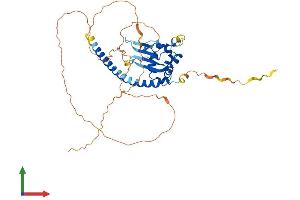 Protein Structure (PS) image for TSPY-Like 5 (TSPYL5) (AA 1-406) protein (His tag) (ABIN7557885)