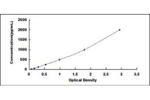 Typical standard curve (CD163 ELISA 试剂盒)