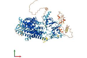 Protein Structure (PS) image for Chloride Channel, Voltage-Sensitive 6 (CLCN6) (AA 1-869) protein (His tag) (ABIN7553446)