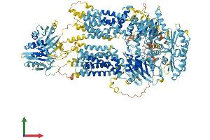 Protein Structure (PS) image for ATP-Binding Cassette, Sub-Family A (ABC1), Member 8 (ABCA8) (AA 1-1620) protein (His tag) (ABIN7564665)