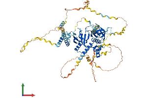 Protein Structure (PS) image for Amyloid beta (A4) Precursor Protein-Binding, Family B, Member 1 Interacting Protein (APBB1IP) (AA 1-666) protein (His tag) (ABIN7551787)