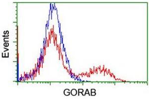 Image no. 1 for anti-Golgin, RAB6-Interacting (GORAB) (AA 35-394) antibody (ABIN1491440) (GORAB 抗体  (AA 35-394))