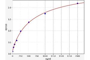 Persephin (PSPN) ELISA Kit