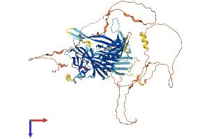 STON1 Protein (AA 1-735) (His tag)