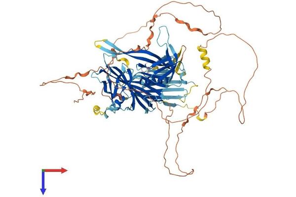 STON1 Protein (AA 1-735) (His tag)