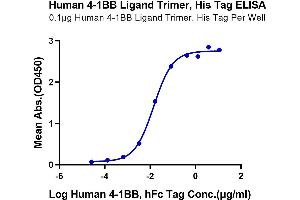 Immobilized Human 4-1BB Ligand Trimer, His Tag at 1 μg/mL (100 μL/Well) on the plate.