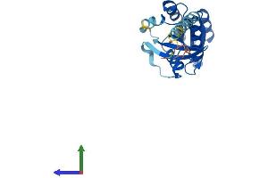 Protein Structure (PS) image for RAB15, Member RAS Onocogene Family (RAB15) (AA 1-212) protein (His tag) (ABIN7551203)