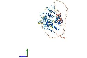 AlphaFold protein structure predicition of Human Recombinant ZNF735 Protein, UniprotID P0CB33