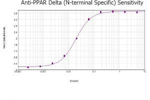 ELISA image for anti-Peroxisome Proliferator-Activated Receptor delta (PPARD) (N-Term) antibody (ABIN105799)
