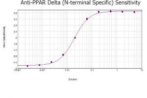 ELISA results of purified Rabbit anti-PPAR Delta (N-terminal specific) Antibody tested against BSA-conjugated peptide of immunizing peptide. (PPARD 抗体)