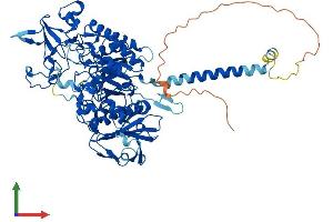 Protein Structure (PS) image for Solute Carrier Family 3 Member 1 (SLC3A1) (AA 1-685) protein (His tag) (ABIN7555470)