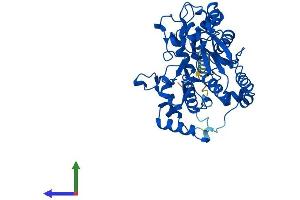 Protein Structure (PS) image for Glucosaminyl (N-Acetyl) Transferase 1, Core 2 (GCNT1) (AA 1-428) protein (His tag) (ABIN7556934)