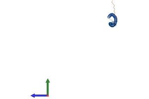 Protein Structure (PS) image for Spermatogenesis Associated 24 (SPATA24) (AA 1-205) protein (His tag) (ABIN7546381)