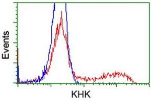 HEK293T cells transfected with either RC202424 overexpress plasmid (Red) or empty vector control plasmid (Blue) were immunostained by anti-KHK antibody (ABIN2453198), and then analyzed by flow cytometry. (Ketohexokinase 抗体)
