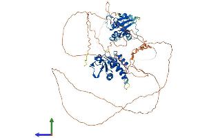 Protein Structure (PS) image for Dual Specificity Phosphatase 16 (DUSP16) (AA 1-665) protein (His tag) (ABIN7547179)
