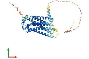 AlphaFold protein structure predicition of Human Recombinant S1PR3 Protein, UniprotID Q99500
