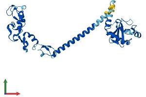 AlphaFold protein structure predicition of Human Recombinant RNF41 Protein, UniprotID Q9H4P4