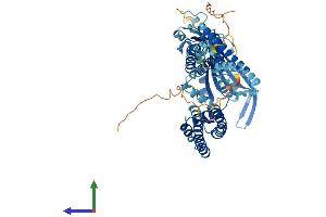 Protein Structure (PS) image for Mucolipin 1 (MCOLN1) (AA 1-580) protein (His tag) (ABIN7549280)