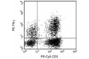 Expression of IFN-gamma by stimulated human peripheral blood mononuclear cells (PBMC). (Interferon gamma 抗体)
