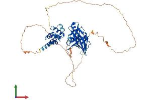 Protein Structure (PS) image for Pyrin and HIN Domain Family, Member 1 (PYHIN1) (AA 1-492) protein (His tag) (ABIN7548524)