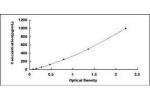 Fibroblast Growth Factor 4 (FGF4) ELISA Kit