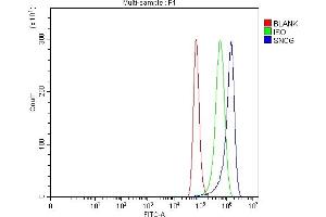 Flow Cytometry analysis of Hela cells using anti-gamma Synuclein/SNCG antibody (ABIN7602886).