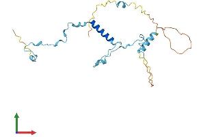 Protein Structure (PS) image for Polymerase (RNA) III (DNA Directed) Polypeptide G (32kD) (POLR3G) (AA 1-223) protein (His tag) (ABIN7555265)