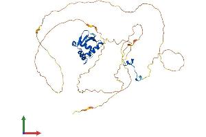 Protein Structure (PS) image for ELK4, ETS-Domain Protein (SRF Accessory Protein 1) (ELK4) (AA 1-431) protein (His tag) (ABIN7547346)